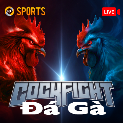 thumbnail_retangle2_1763630481